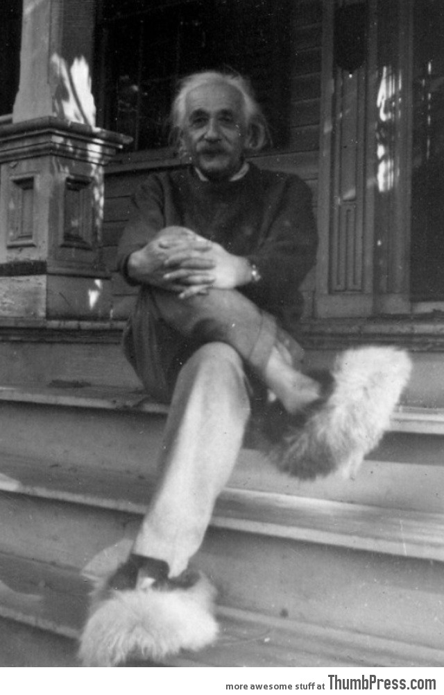 Einstein in fuzzy slippers. You're welcome.