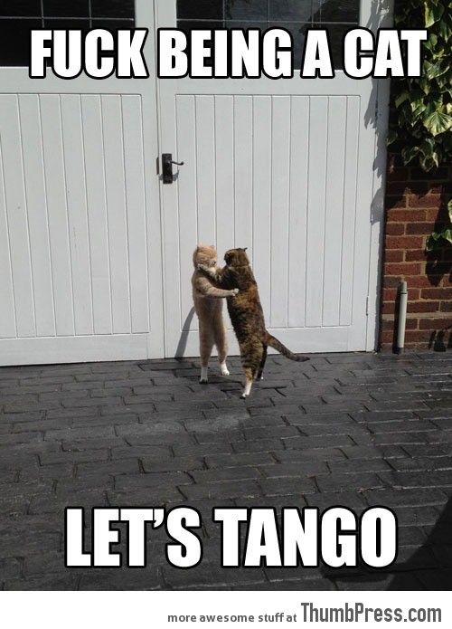 It’s tango time…