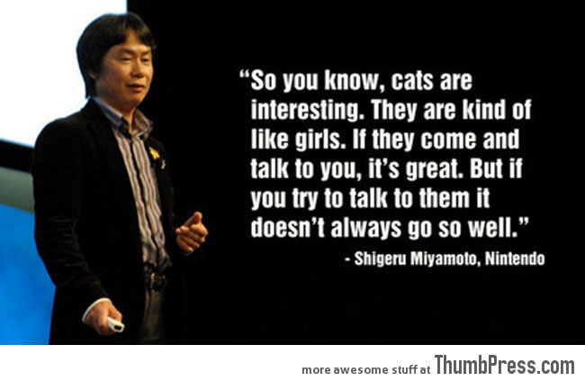 Cats are like girls