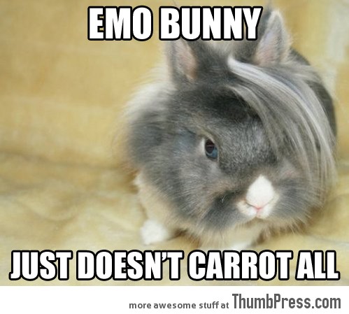 Emo bunny
