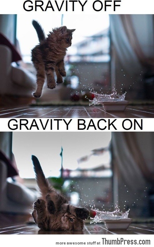 Gravity on & off