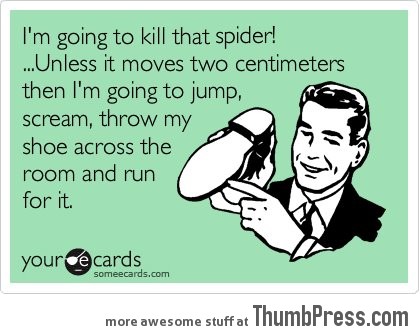 I am going to kill that spider