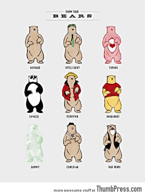 KNOW YOUR BEARS.