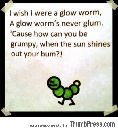 The life of a glow worm...