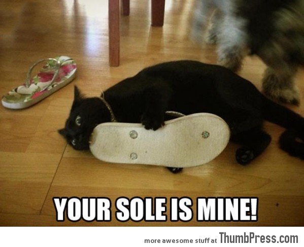 Your Sole is mine