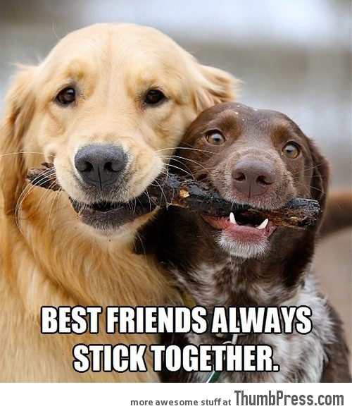 BEST FRIENDS.