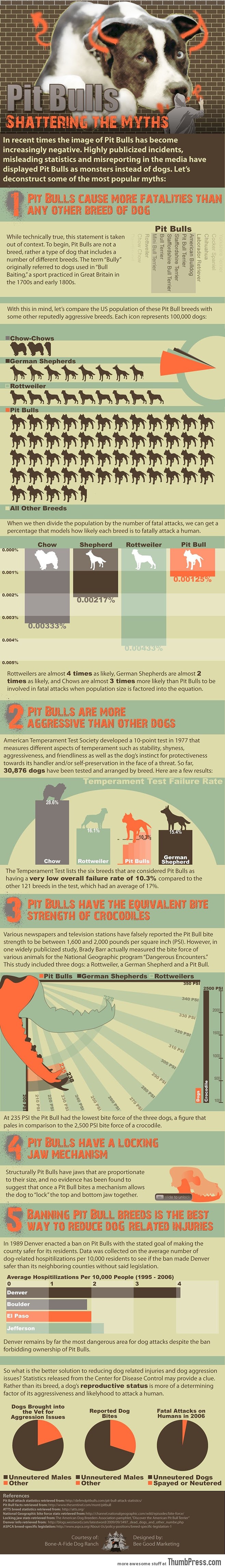 COMMON MYTHS ABOUT THE PIT BULL.