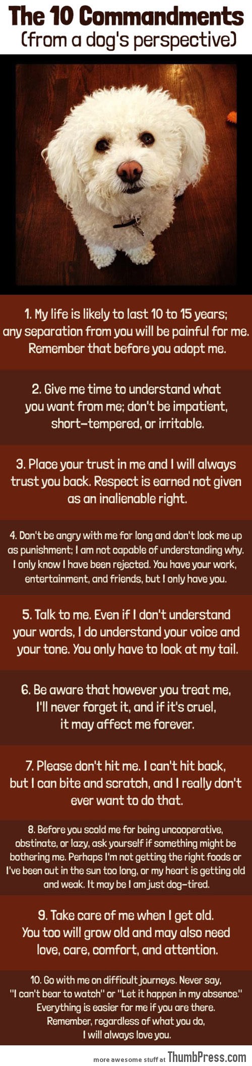 Commandments from a dog’s perspective…