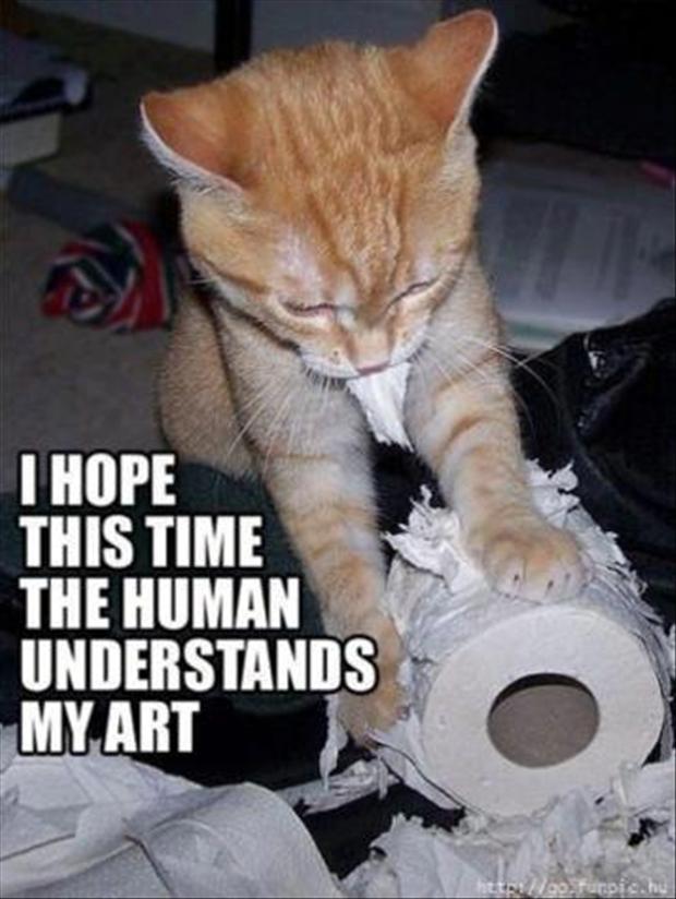 LOL Cats 50 Awesomely Funny Cat Photos To Crack You Up