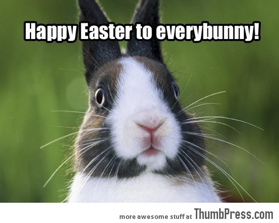 Happy easter to everybunny