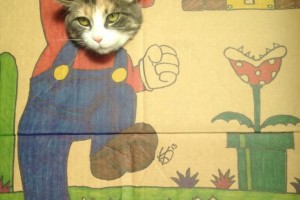Mario Cat