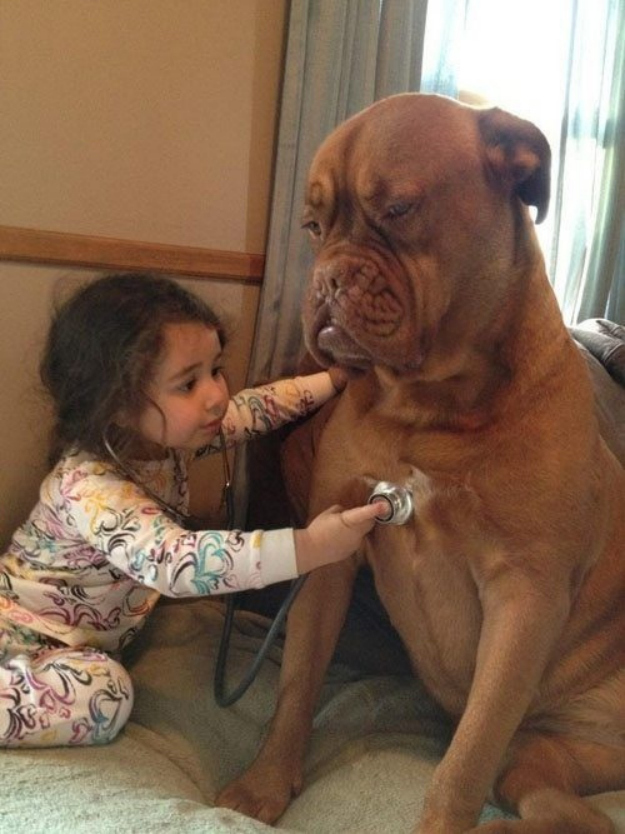 Patient pup plays doctor to amuse this little girl