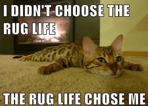 Rug life