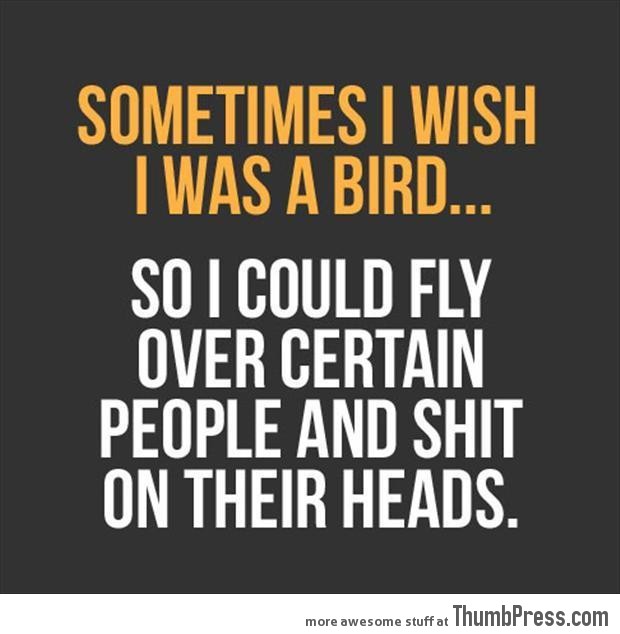 Sometimes I wish I was a bird