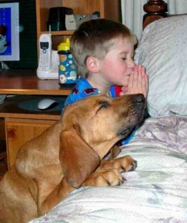 This dog pray beside his master before going to bed