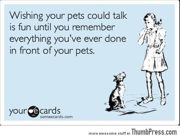 What if you pets could talk