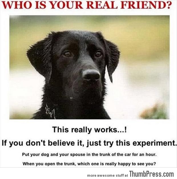 Who is your real friend?