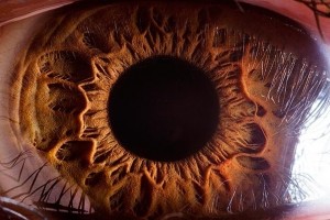 Amazing Facts About Human Body 21