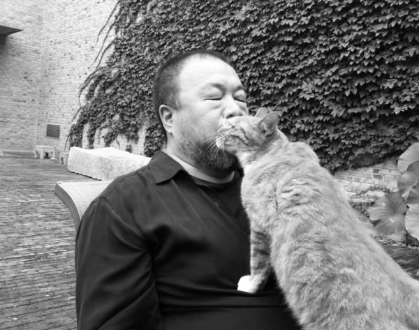 Artist Ai Weiwei and hiscat