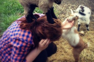 Attack of the cute 19