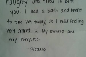 Aw, how can you hold a grudge at a poor old three toothed dog.