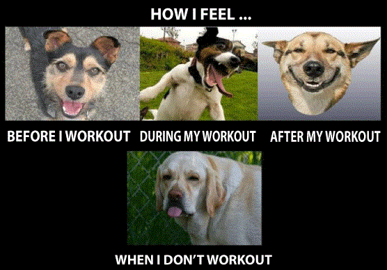 Different faces of doing exercise and not doing it at all