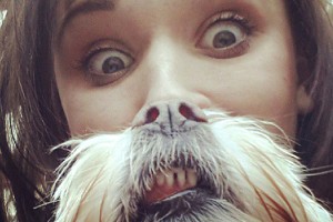 Dog Bearding 13