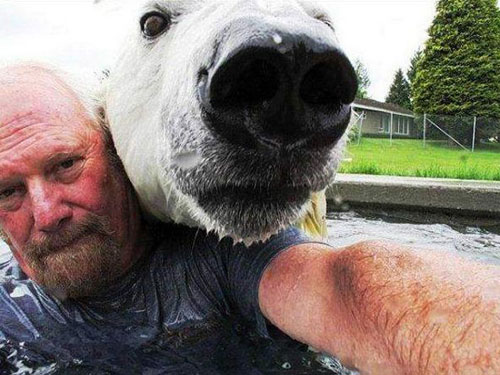 Epic Selfie — With Polar Bear