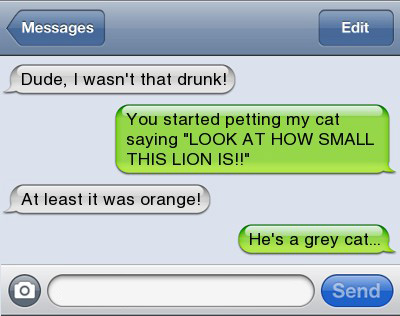 Funniest Drunk Texts Ever 11