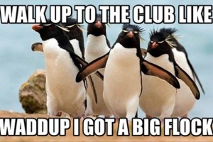 Funny Animals with Captions 23