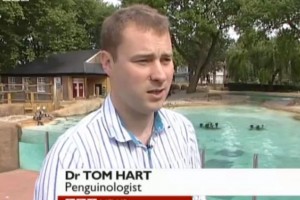 Funny Job Titles 3
