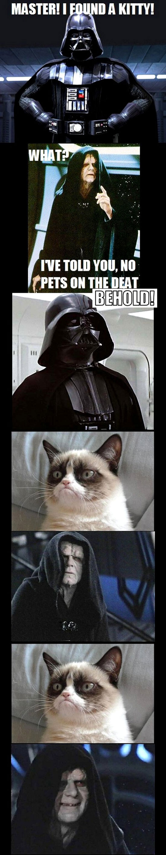 Funny Star Wars Pictures 15