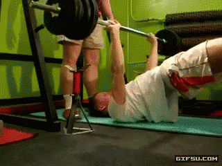 Hilariously Unexpected GIFs 1