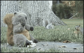 Hilariously Unexpected GIFs 10