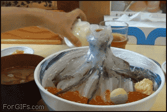 Hilariously Unexpected GIFs 3