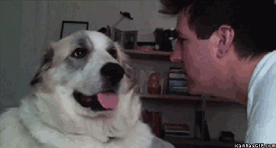 Hilariously-Unexpected-GIFs-4.gif