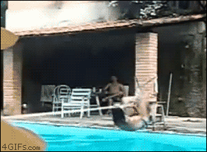 Hilariously Unexpected GIFs 9