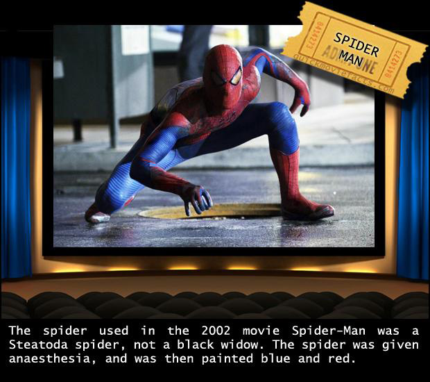 Interesting Movie Facts — Spiderman