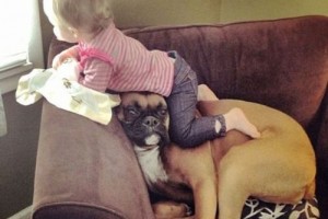 It’s Impossible Not To Smile When Viewing These Funny Animal Pictures 20
