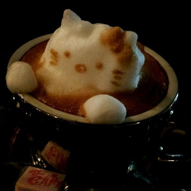 Mindblowing 3D Latte Art 4