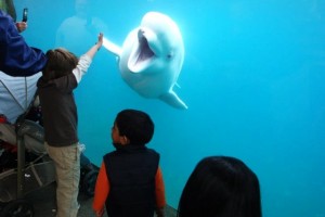 Pictures That Will Put A Smile On Your Face 8