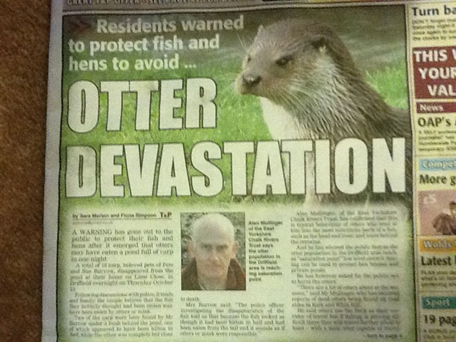 The Funniest News Headlines Of All Time 18