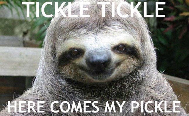Tickle tickle..