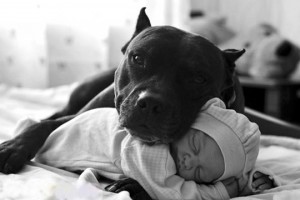A different kind of guardian angel…