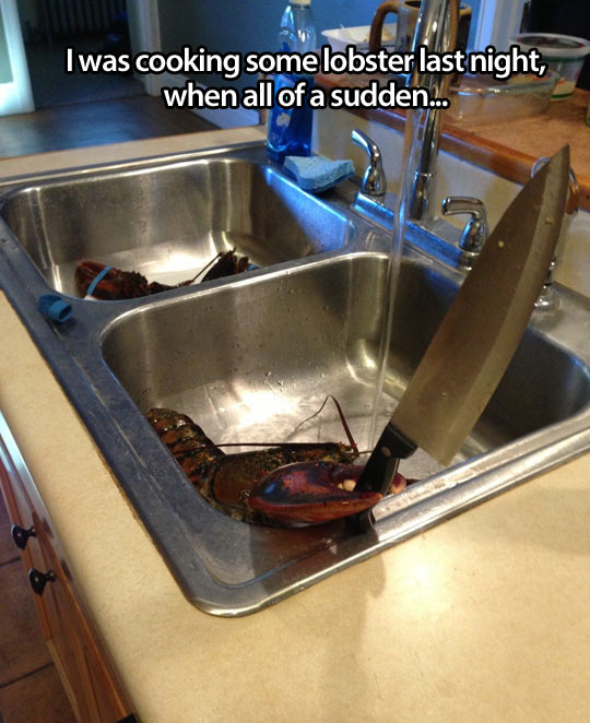 Cooking lobster when suddenly…