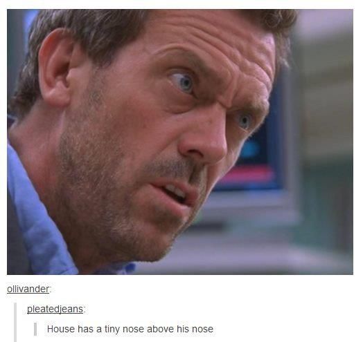 Dr. House has a tiny nose above his nose