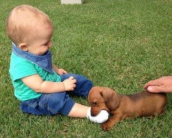 Kids and Animals 1