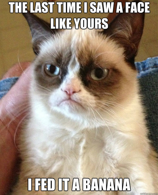 [Image: Last-time-I-saw-a-face-like-yours%E2%80%A6.jpg]