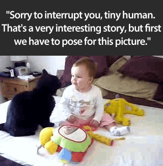 Sorry to interrupt you, tiny human.