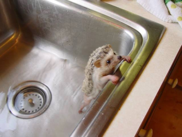 Spike Lee hates his bath.